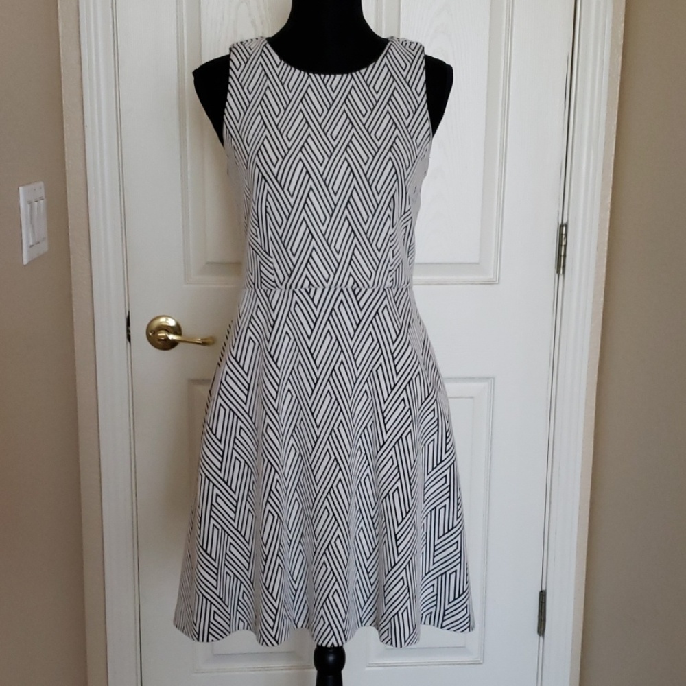 Banana Republic Dress Size 8P